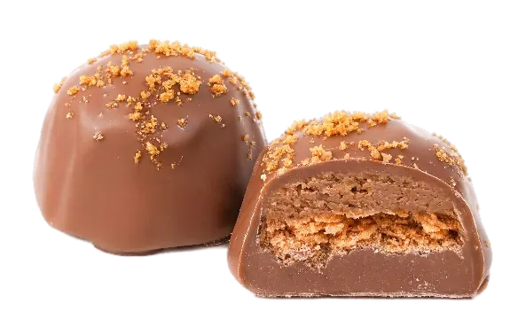 Feuilletine Spéculoos Chocolat – C365