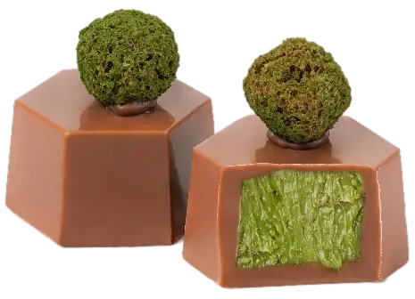 Crème Proleh pistache au chocolat – GL068